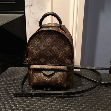 louis vuitton palm springs backpack medium|palm springs backpack mini price.